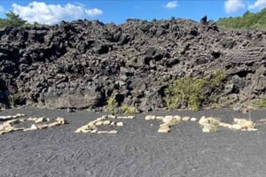 Depuis Catane, Acireale, Giarre : excursion d'une demi-journée au mont Etna