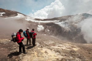 Desde Catania: tour de medio día por la mañana al monte Etna con almuerzo