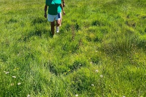 De Cefalù : la campagne sauvage de la Sicile en jeep