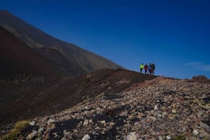 Från Syracuse: Etna guidad morgonvandring och matprovning