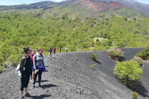 Fra Taormina: Halvdags morgenvandring på Etna