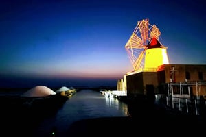 From Trapani: tour Marsala salt pans and Stagnone islands