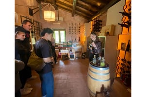 Kokopäivän Etna- ja viinikierros Cataniasta käsin