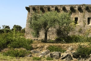 Giardini Naxos: arkeologinen puisto, museo, pysäköinti ja sisilialainen makupaketti