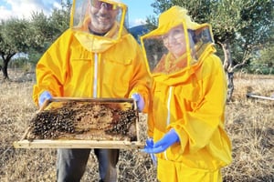 Isnesso: Madonie-vuorten pyöräretki mehiläistarhan vierailulla