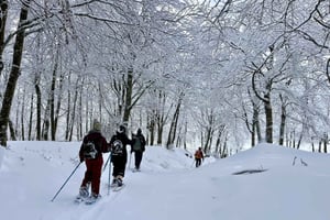 Lake Maulazzo, Nebrodi: A beautiful snowshoe hike with a local guide