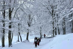Lake Maulazzo, Nebrodi: Snowshoeing with a private group guide