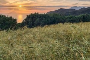 Lipari: Gamle korn og typisk lunsj