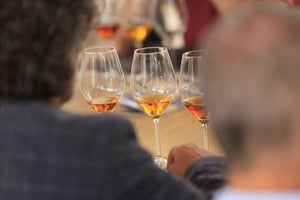 Marsala: Florio Winery Tour mit lokaler Weinverkostung