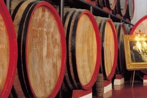 Marsala : Visite d'un vignoble avec dégustation de vins et de produits locaux