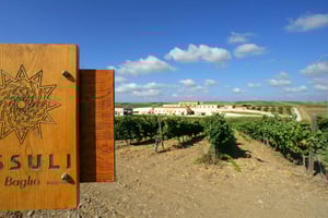 Mazara del Vallo: tour di degustazione alla cantina Assuli