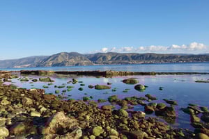 Messina: 360°-Städtetour mit Kap Peloro und Monte Dinnammare