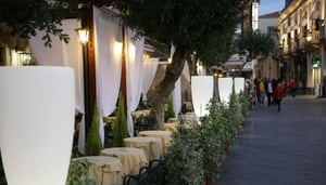 Mocambo Café Tea Room