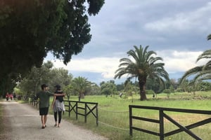 Naxos al Tramonto: Tour del Parco Archeologico e Aperitivo Greco