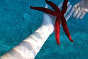 Naxos: Passeio de barco em Taormina com snorkeling e Prosecco