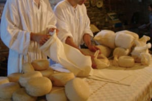 Palazzolo Acreide: Queso Ricotta y visita a la granja con degustación