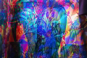 Palermo: Passeggiata guidata in centro storico e Museo delle illusioni