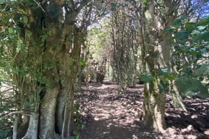 Palermo: Rundresa i Madonie bland Europas största jordbruksföretag