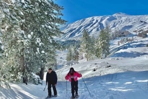 Piano Provenzana: Caminhada guiada com raquetes de neve no Monte Etna