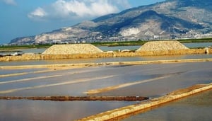 Riserve Naturali Saline di Trapani e Paceco