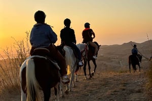 Romantische ervaring met paarden in het natuurreservaat WWF
