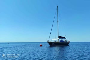 Sejltur og guidet snorkling i Siracusa
