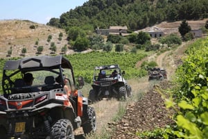 Sicilien: Off-Road ATV Buggy Tour