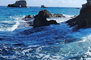 シラクサ：クリスマスのボートツアー（スプマンテとパンドロ付き）