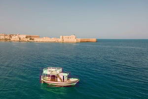 シラキュース：ランチ、ワイン、スイミングストップ付きボートトリップ