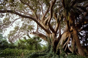 Syracuse: Exclusive Sicilian Wine Tasting Experience