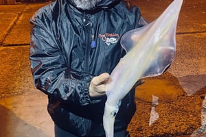 TAORMINE : PARTIE DE PÊCHE EN BATEAU AVEC ROY FISHING