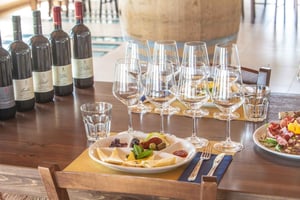 Taormina: wycieczka prywatna do 3 rodzinnych winnic na Etnie z degustacją