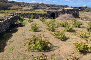 Unesco-erfgoed: ontdek het landelijke hart van Pantelleria