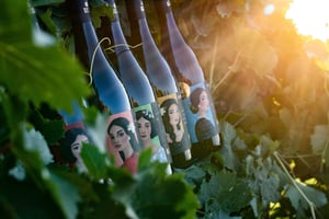 Visite d'une cave et dégustation de vins biologiques siciliens à Marsala