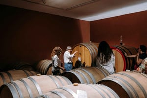 カターニア近郊の火山斜面でのワイナリー訪問とテイスティング