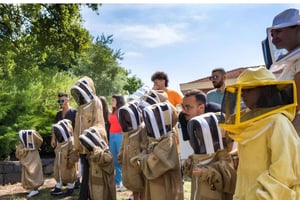 Zafferana Etnea: Hunajan uuttamistyöpaja ja hunajan maistelu