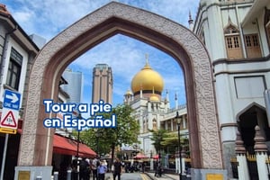 3 uur Chinatown, Little India, Arab Street SPAANSE wandeltour