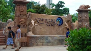 Adventure Cove Waterpark