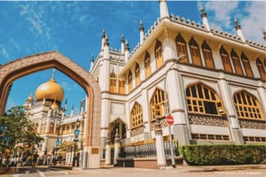 Drive & Dine:Mercedes Private Tour with a Taste of Singapore