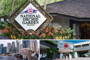 Tour guidato di mezza giornata con visita al Giardino nazionale delle orchidee