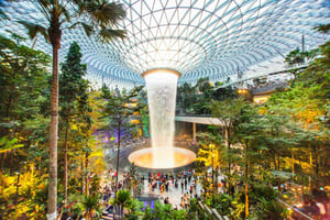 Jewel Changi flygplats: Biljett till Canopy Park