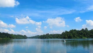 MacRitchie Reservoir