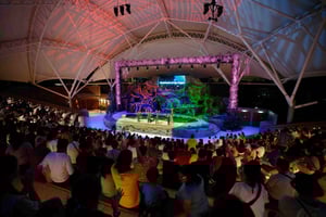 Safári noturno guiado com traslado de ida e volta do hotel