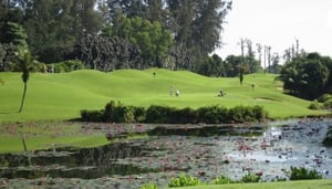 NS Resort & Country Club Executive Par 3 Course