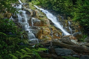 Паданг: 4-дневный тур по скрытым водопадам и дикой природе