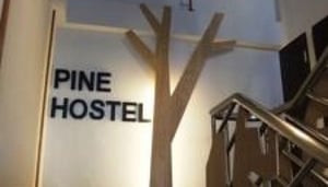 Pine Hostel