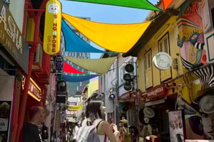 Aangepaste privéwandeltour door Singapore