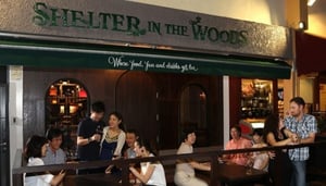 Shelter in the Woods