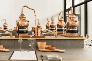 Singapore : Brass Lion Gin koululippu