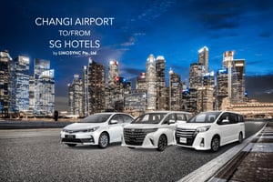 Singapore Changi lufthavn til hotell – Toyota Alphard/Vellfire